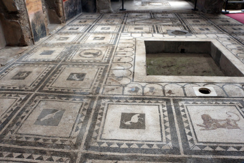 romegreeceart:Pompeii - “House of Paquius Proculus”Paquius Proculus was a duumviri of th