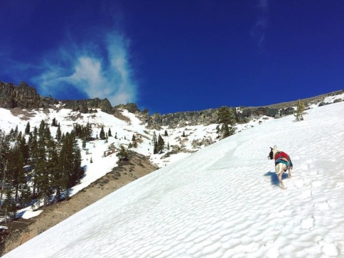 Instagrammer @rosythetripawd captured this gorgeous scenic shot with her Wide Angle Everyday Lens an