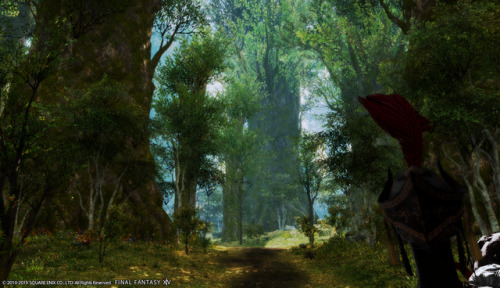 ffxiv-achemi