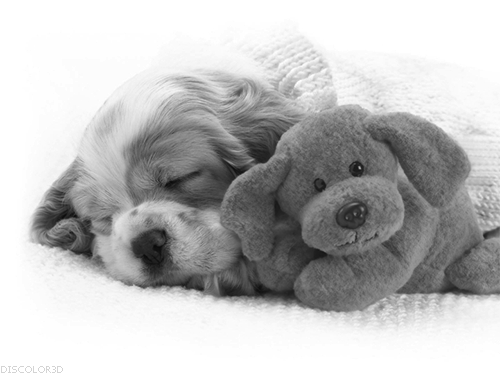 Sleepy souls