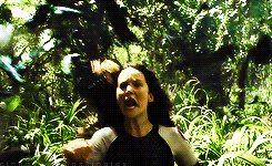 cinnasownmockingjay:  Ordered Jabberjay Scene 