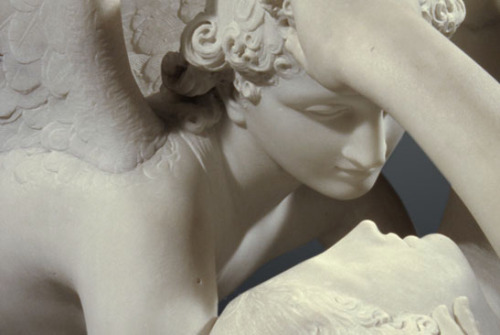 leuc:Antonio Canova, Cupid And Psyche (detail)