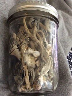 improviselife:a jar of enlightenment ☺️✌️🍄