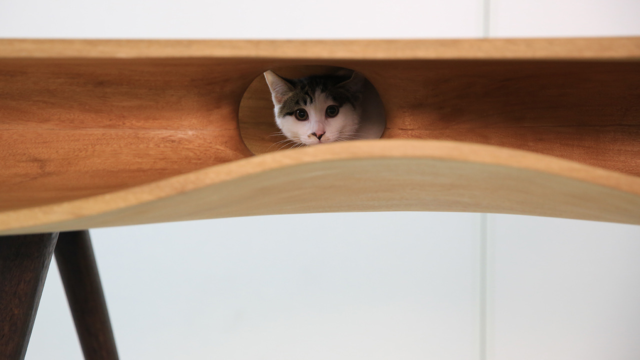 fastcompany:  Finally, a solution to one of the working world’s cutest problems