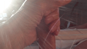 beezeepete:  Good morning. 