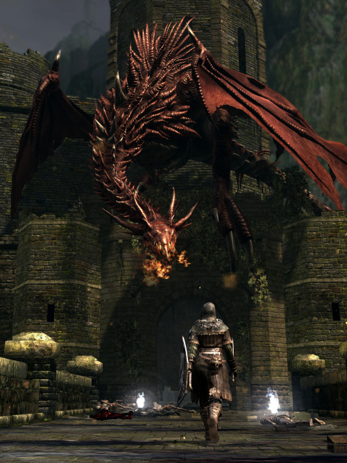 thewitchcraftreader:  Through hell and high water… Incredible high resolution Dark Souls screenshots by Dead End Thrills.