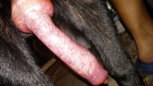 https://muneco1463.tumblr.com/post/89715522674