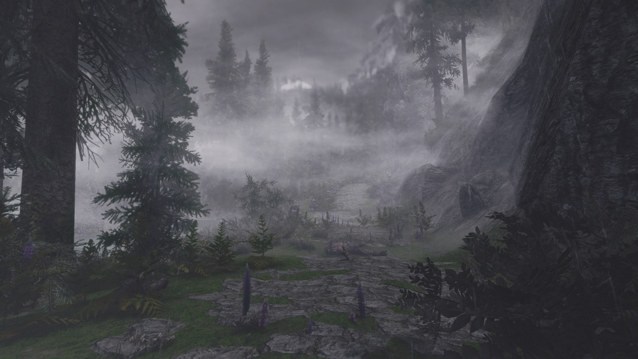 belmontswhip:  foggy path to Windhelm 