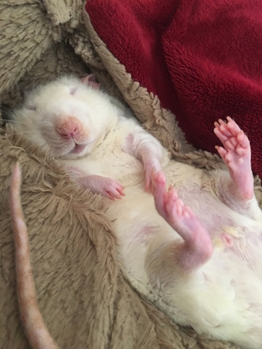 maraters:  Shh… Its naptime!