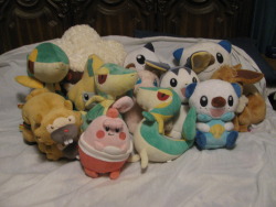 plushcrush:  Most of my Medium Pokemon Plush