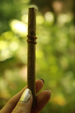 thc-kittyy:  kuush-queen:  Blunt rolled in