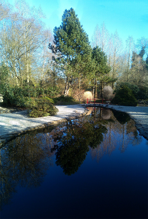 Hadlow College and the Broadview Gardens