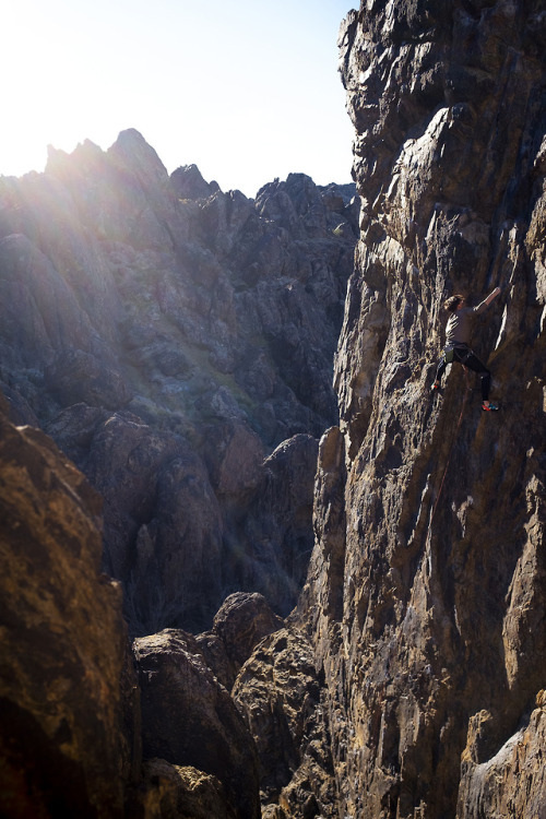 Corin Roddick (Purity Ring) : Climbing : Barstow, CA