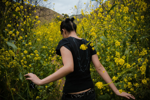 Solstice Canyon, Malibu, CA 2009