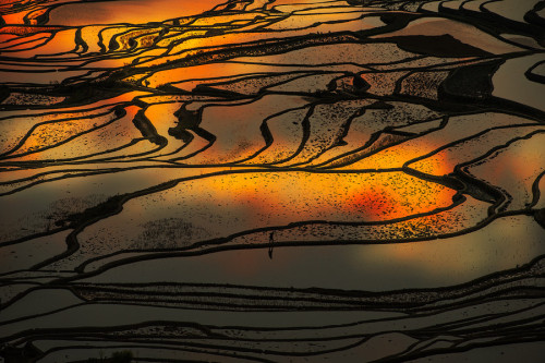 farm in yuanyang by Nikon Sek on 500px   (Larger)