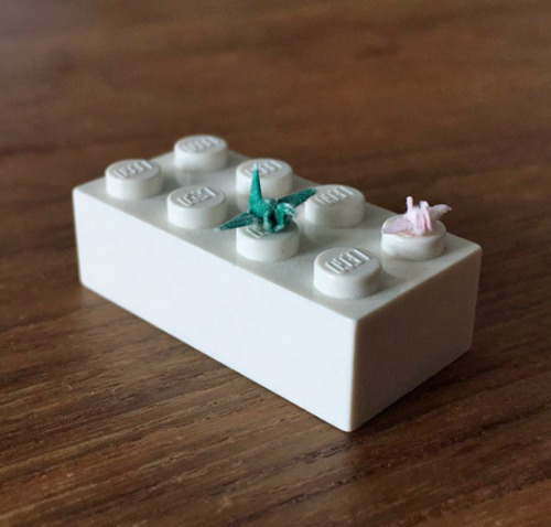 tastefullyoffensive:What is this, origami for ants? (via alisonmah / davidkawai)
