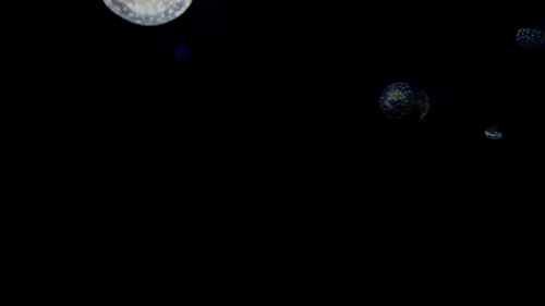 thatscienceguy:  Jellyfish have been found in every ocean, from the surface to the