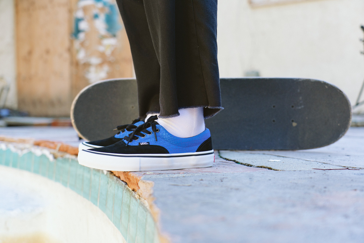 vans skateboards tumblr