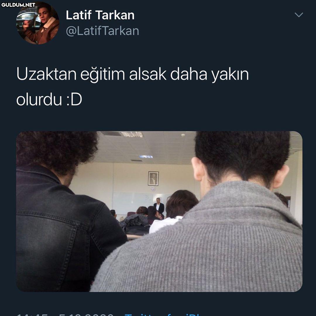 miyoplar için daha daha...