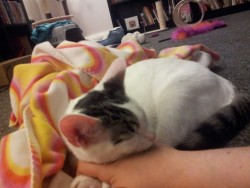 He fell asleep on my hand omg