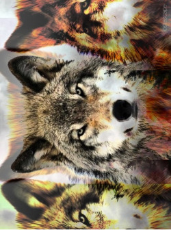 Lostescape:  Instagram