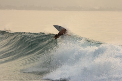 surfandbefree.tumblr.com