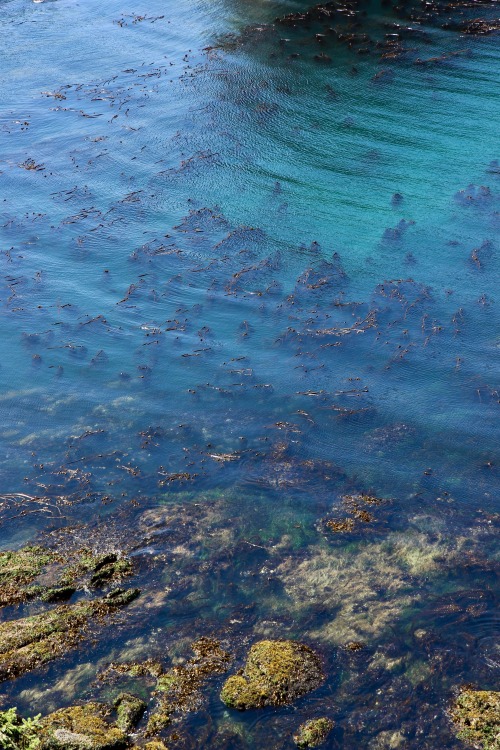 Burningmine:  Cape Flattery, July 2018   All The Years I Lived In The Peninsula And