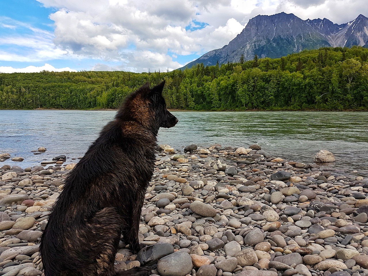primitive-nature: I love my yard