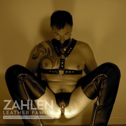 New blog www.zahlen.tumblr.com