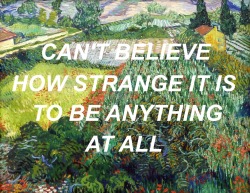 thinking is the wine in which dreamers are