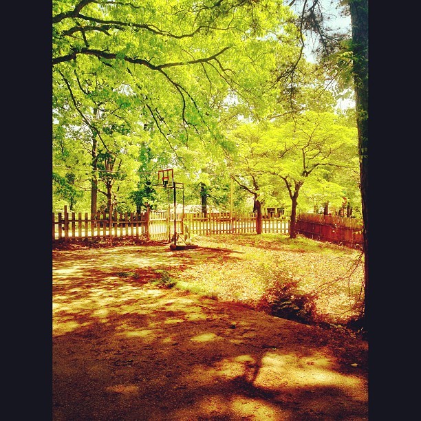 lestieandduh:  It’s the simple things.  love it and i see the goal; hoopin lol