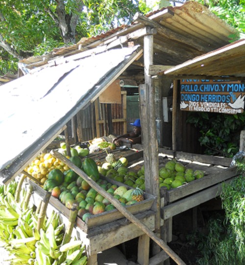 djubii: Punta Cana ; Républica Dominicana