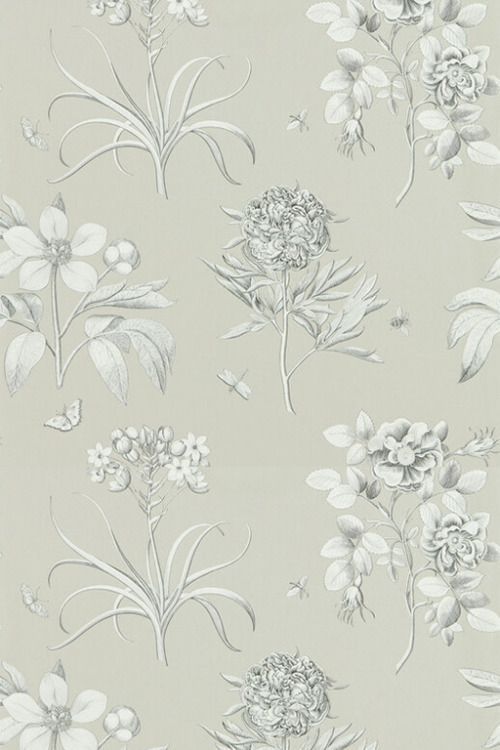Etched Rose - Cottage Series WallpaperSix lovely floral wallpapers in colours ranging from bold to s