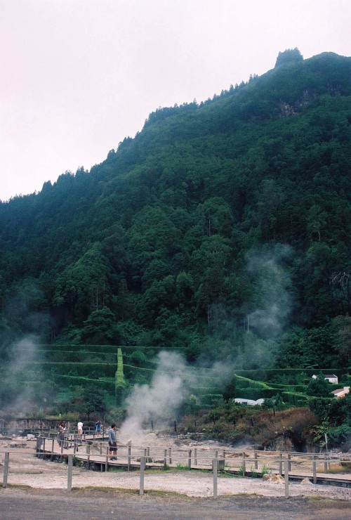 at Furnas, São Miguel, Açores, october’21