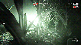 apostated:Outlast 2 x/x/x  (new gameplay footage from Pax East 04/22/16)