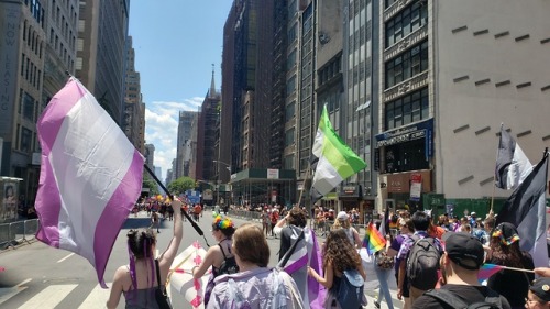 redbeardace:NYC Pride Parades 2019 @arowitharrows you said you hadn&rsquo;t seen Aromantic presence 