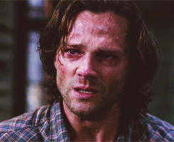 ororomunroe-archive:  Sam Winchester 1x01 | 8x23 