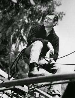 thefilmcanister:  Clark Gable.  