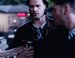 s-cornelius:  deangirl:  deangirl: Because Sammy Knows ~ 5  I think what I love most