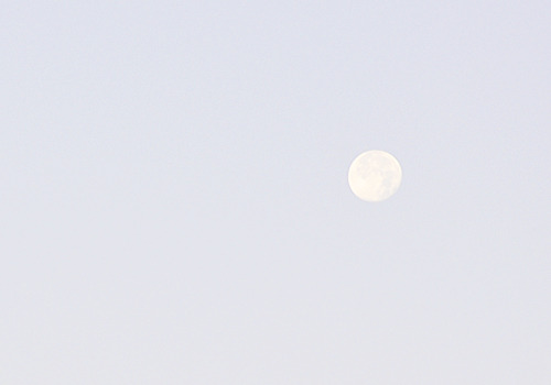 keirwalker:six in the morning, pt. 1