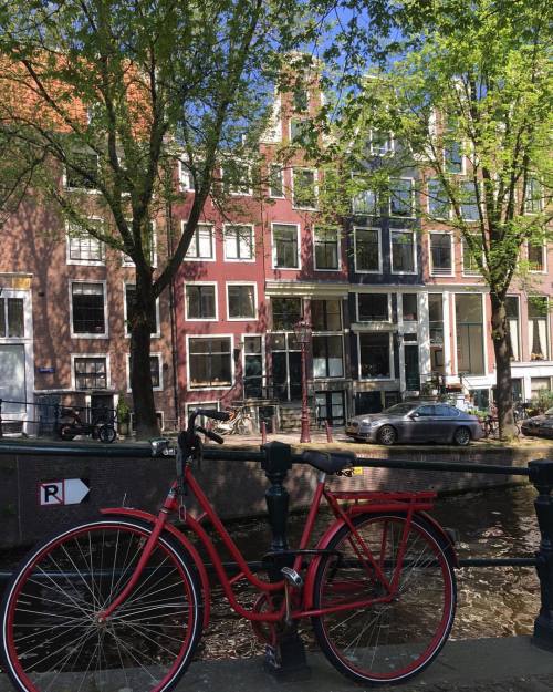 Red Bicycle.#europe #holland #netherlands #amsterdam #spring #tree #trees #bicycle #bicycles #bicy