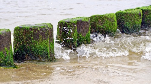 How do we stop the waves? Wie halten wir die Wellen auf?Baltic Sea, Germany.