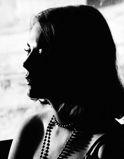 Natalie Wood (Phil Stern, 1966)