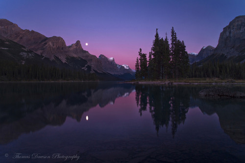 Sex te5seract:  Join the Crowd - Banff National pictures