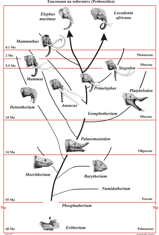 werebi-official:  rabbitlord:  hectocotyli-everywhere:  spinosaurus-the-fisher: 