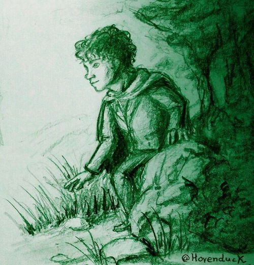 Frodo Bolsón saliendo del Bosque Viejo #Frodo #frodobaggins #bolson #esdla #lotr #forest #bos