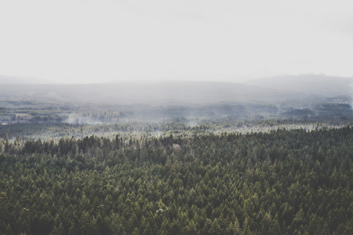 tidalweaves:  thisiswander:  Luke GramBritish Colombia, CanadaCanon 5D Mark II What other parts of the world would you like to visit besides where you live? Hard question. I mean, everywhere really. But more specifically at the top of my list are Africa,
