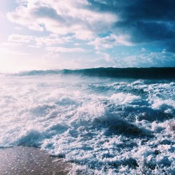 the-ocean-paradise:  sunkissed & sandy