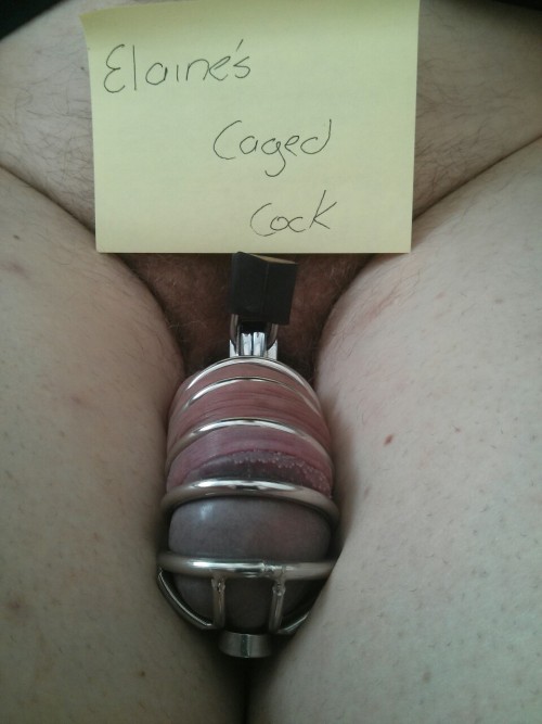 what-is-chastity:  Like seeing Sissy’s in What is Chastity? Try: Amateur Bondage  What is a Strap On? Fetish Latex Cock and Ball Torture (CBT 