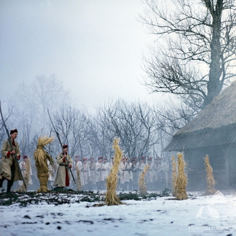 Chochoł (plural form: chochoły), roughly translated as “sheaf”, is a word describing the straw covering that had been prepared for the autumn and winter seasons in order to protect delicate shrubs (for example rose bushes). The word has also a deeper...